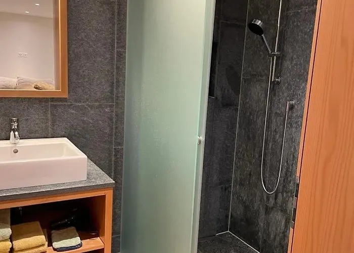 Luxury - 5 Min Walking To Congress Center 达沃斯