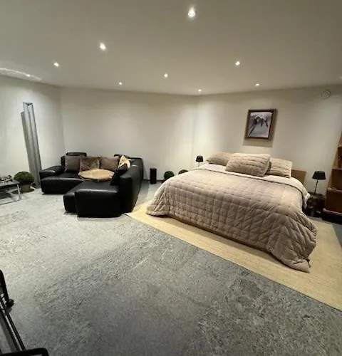 Luxury - 5 Min Walking To Congress Center